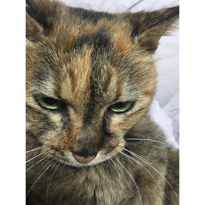 F42f58ae a615 4918 82e3 b81ee4b3fe78 1772272807028