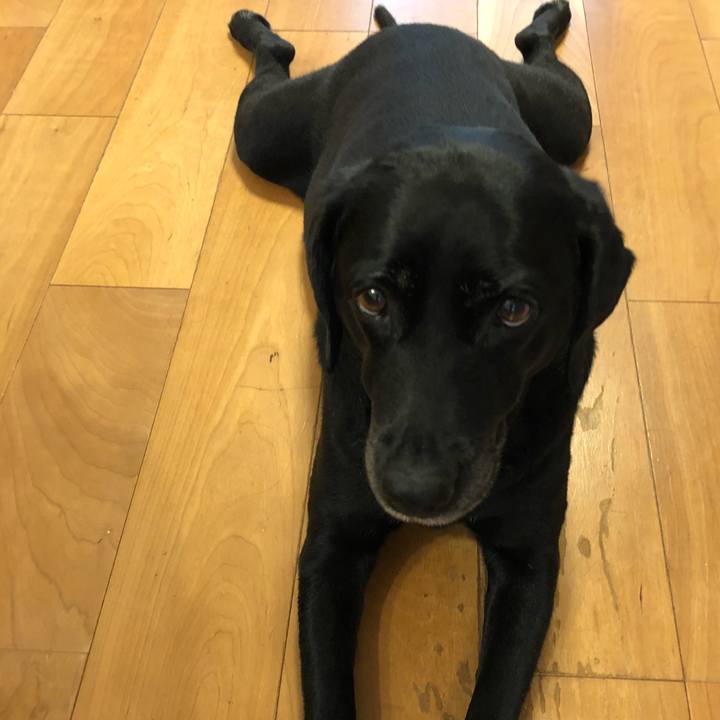 F42f81b6 7654 462c 9e82 71a0b358562b 1529714048251