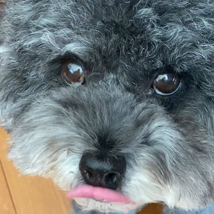 F42f91d3 f99f 4262 a0cc dcdc40f2494e 1633391856924