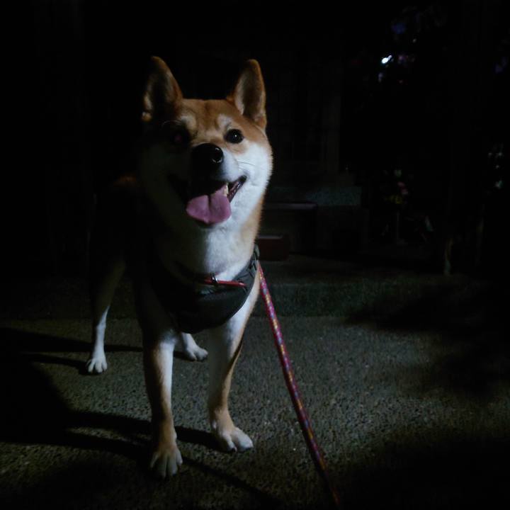 F42fb44d 02af 4b2b acda bfb14cb52854 1765455321197