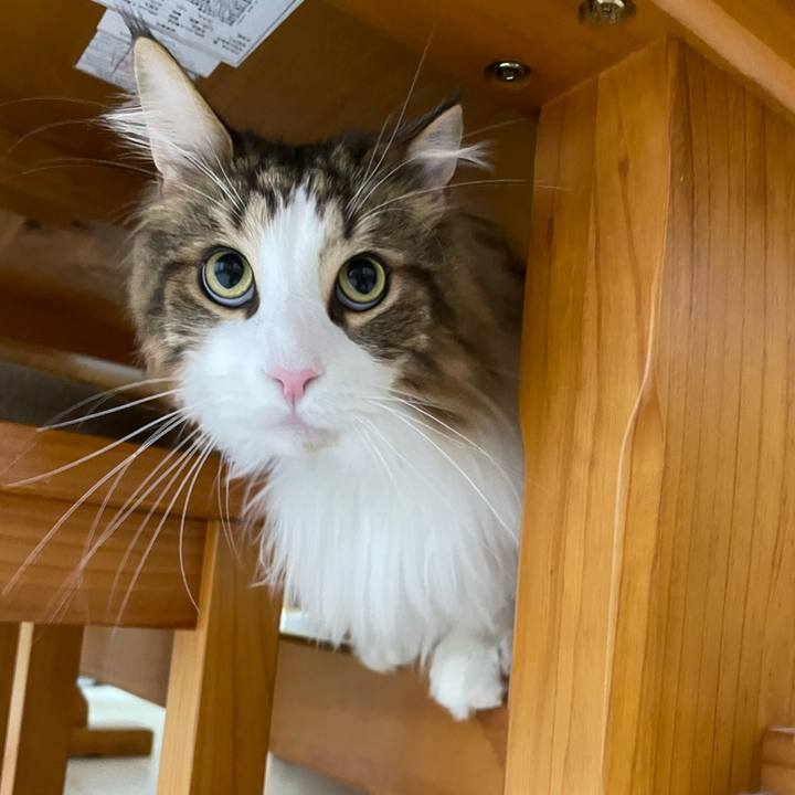 F42fc244 55b8 4114 82b8 0a1691293770 1680912117118