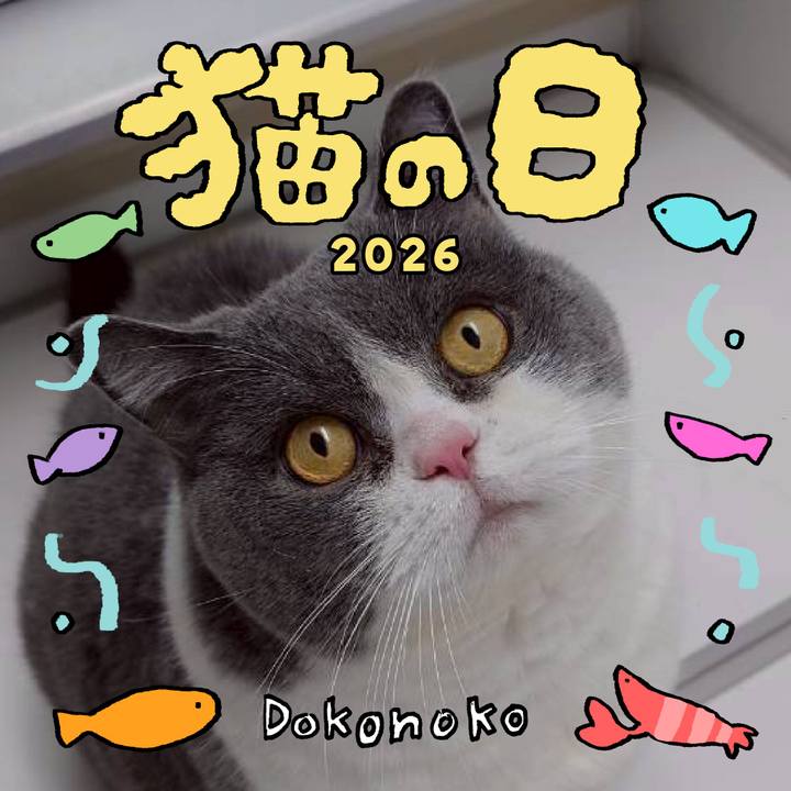 F42fef3b 1fe5 4452 bc6a 810ce57c0132 1771727015728