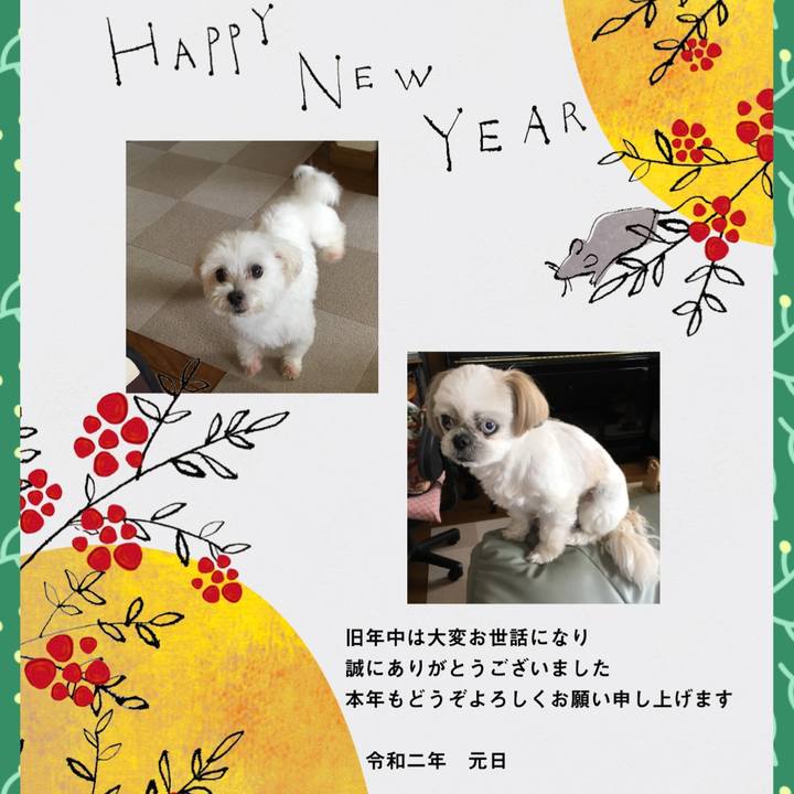 F4300046 098f 4c88 ae51 f9653a213b9c 1577859571167