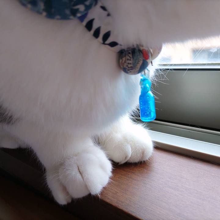 F4301720 7dae 4bf9 8562 75bae124208b 1681537782006