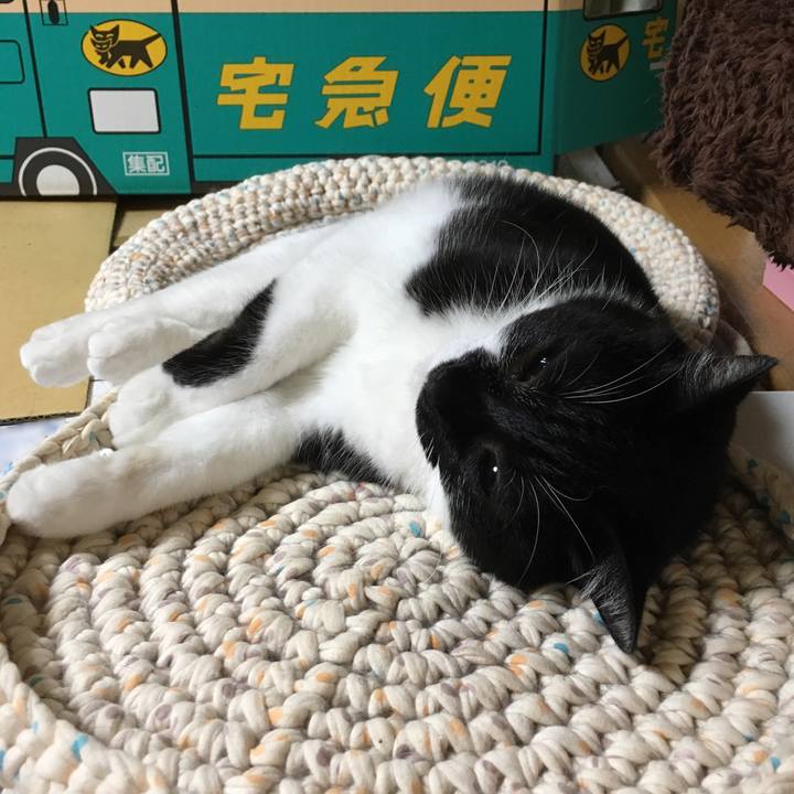 F4301e7e e227 4d4b a612 3a51ac8dae78 1535890615051