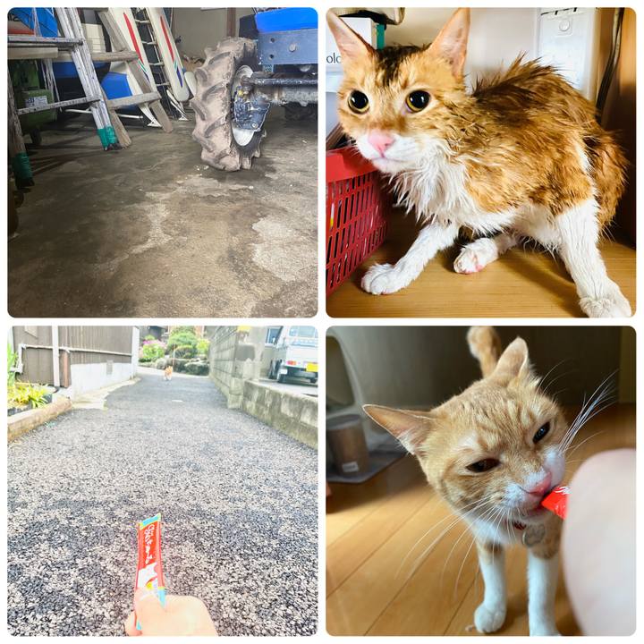 F4302d15 eb3f 4a88 9525 581b56f36e34 1685686642034