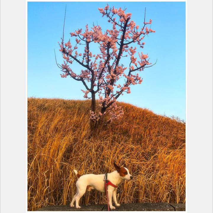 F4302e2f e2d8 4469 9917 e71d9668660d 1521019386282