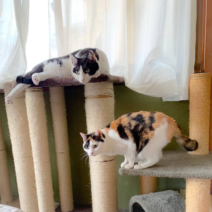 F4302ee4 5714 41f3 9c28 092c2a6b6b93 1558057656388