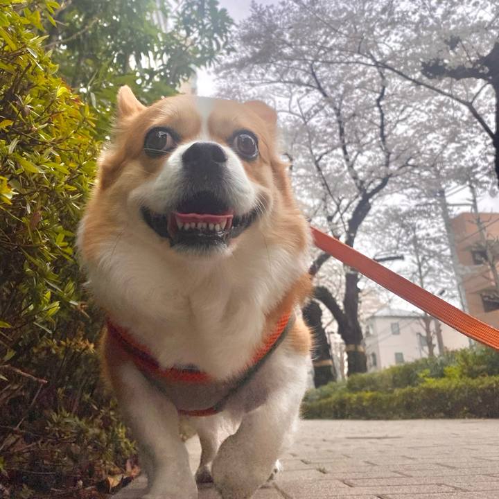 F4304b13 3107 42bf bb1b e7bfd2344a06 1712110951518