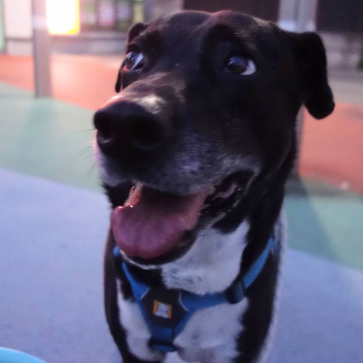 F4304f61 163e 41cd b31d 178f169978e8 1684322003893