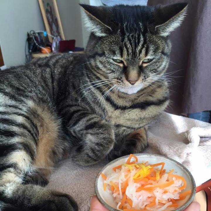 F4305a86 ec90 49bc b6dc 4f02d2caa72f 1767238697324