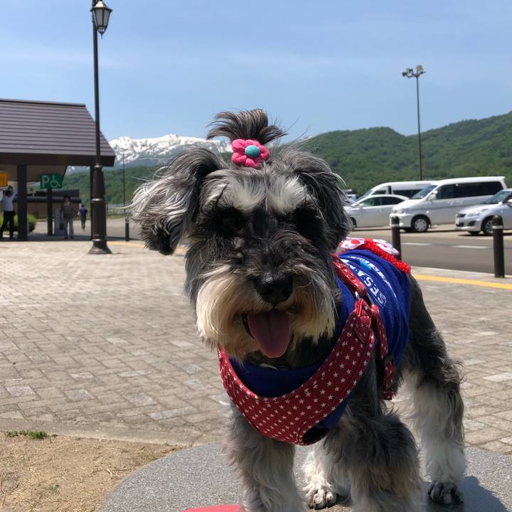 F43065f0 81d0 4abf a540 f5d1eed6a9dd 1558254406822