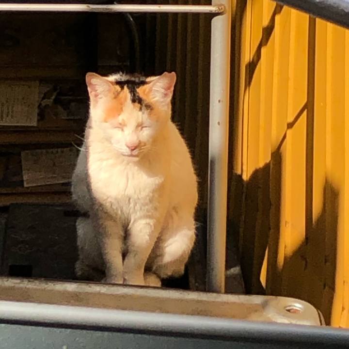 F43069d0 b37e 4a63 b081 875efa7bed17 1620575217456