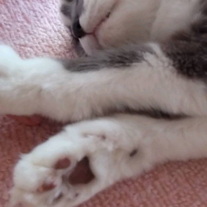 F4307645 5e12 4bae 8c9d d35eb8787026 1634449894888