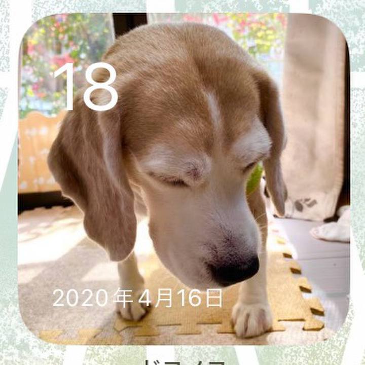 F4308b88 0326 43d1 8c8a b8aac7f81921 1713447990372