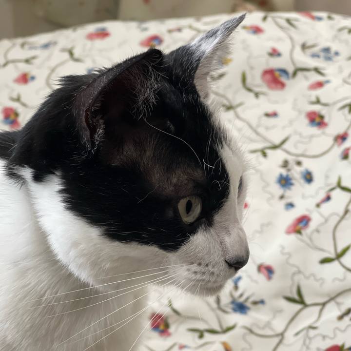 F430dc0f 0ff0 429d ad45 b15055c02d87 1651118979635