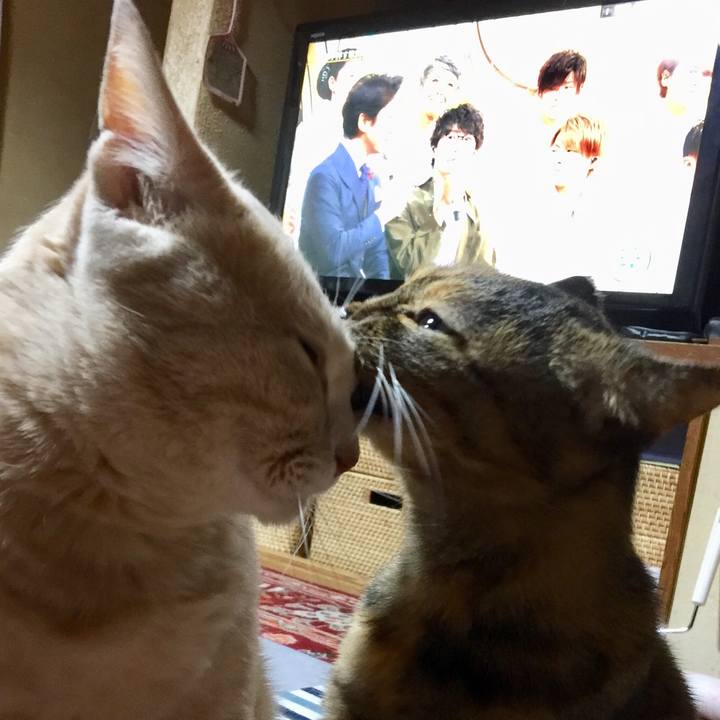 F430f42b ed79 4f73 9130 e0e4d41f98a6 1539084292012