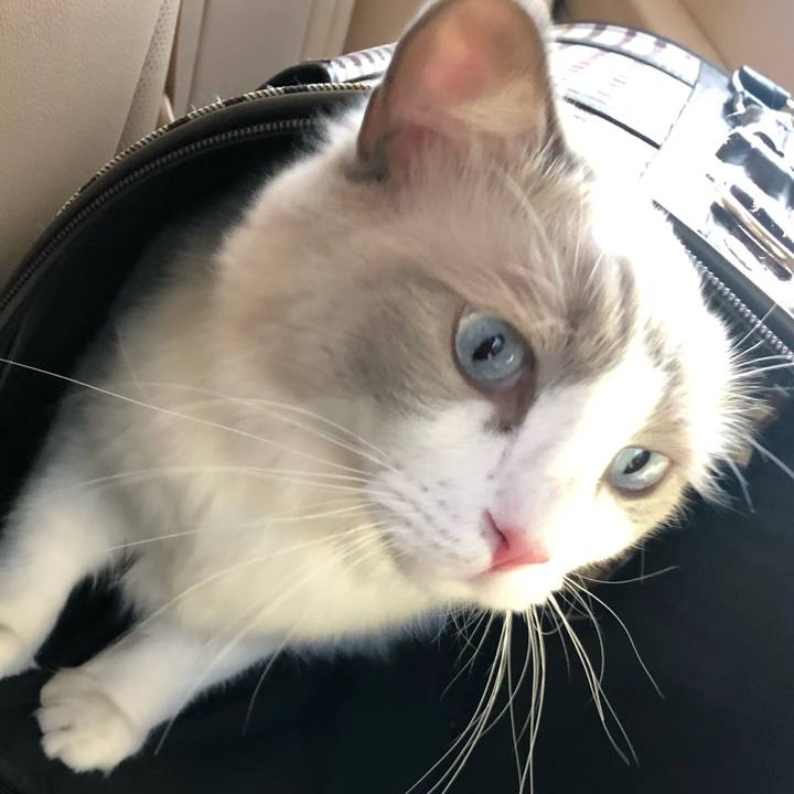 F4310576 9cf0 4a6e a955 23ff93e609fc 1570603638873