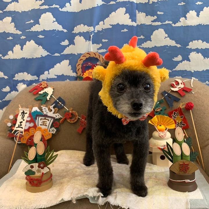 F431059e a335 42c5 8081 91f35fd747ab 1705217901853