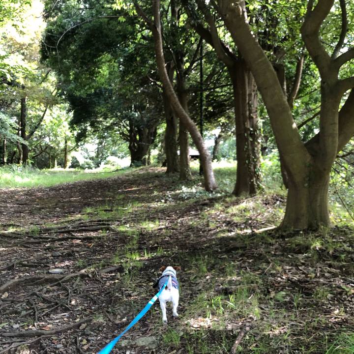 F43111aa 6900 4430 8eaa 7a7456362d6b 1572001190107