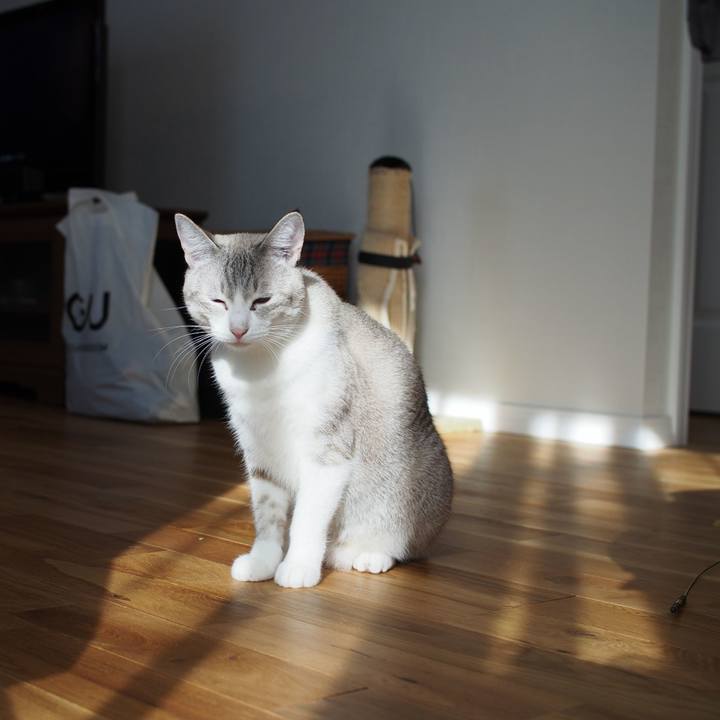 F431177e aac5 4331 a8e8 8d884821697c 1543379335131