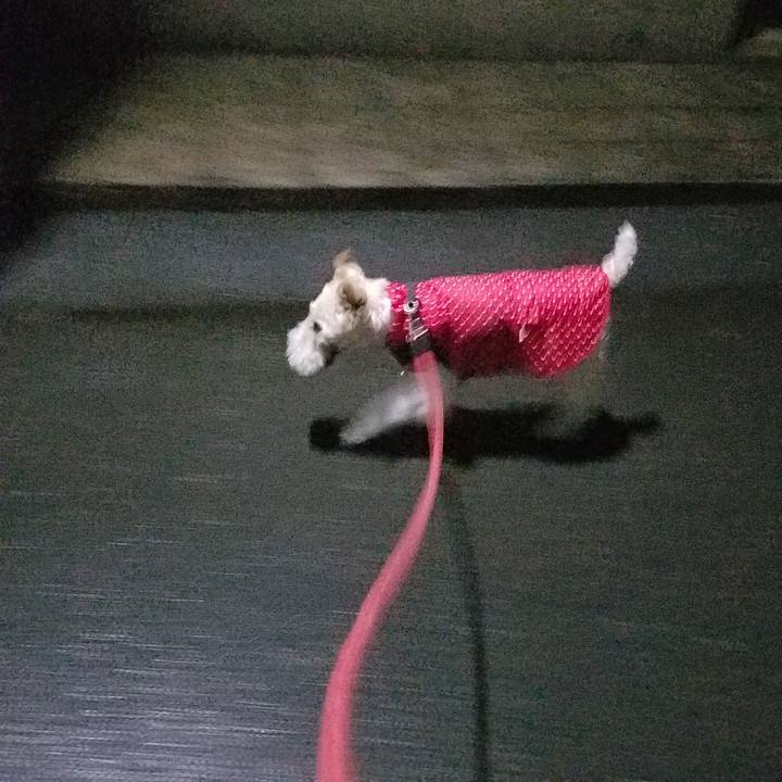 F431330f 8de2 4f42 82c6 e0de7f119110 1594208897808