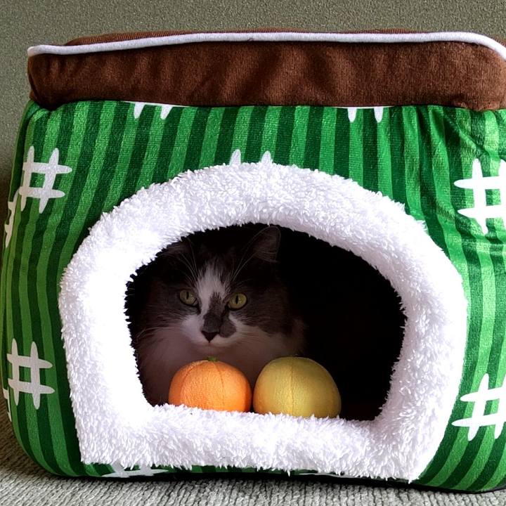 F4314126 17ab 4552 951c c56061d98c84 1703992495588