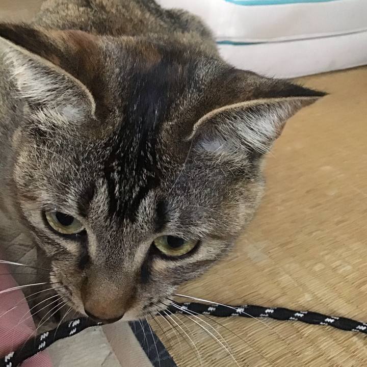 F43141d8 02bc 43af a557 ddf8e31cfdf6 1582873708302