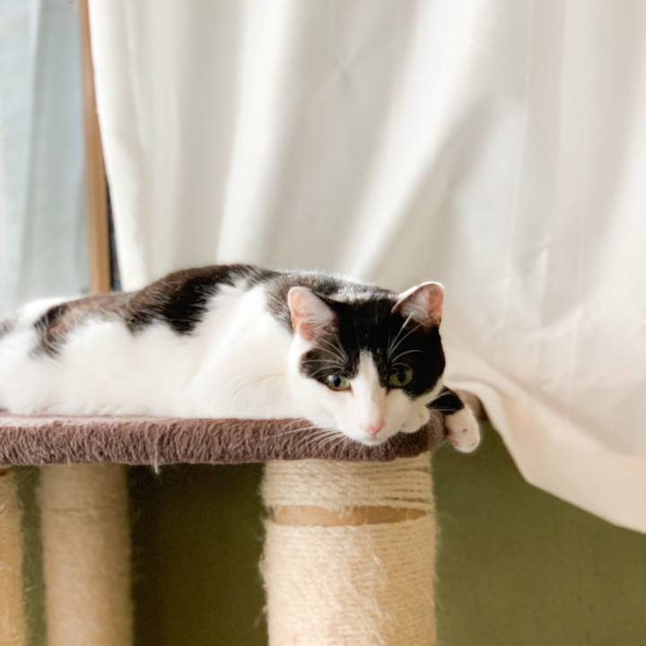 F43169d0 5095 4c57 9977 2804253ea5ea 1571967381960