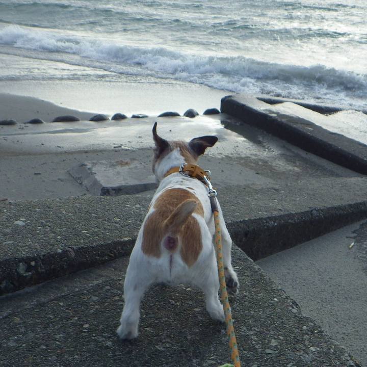 F4317b35 3873 481d b3dc 907d671f6d09 1554725116234