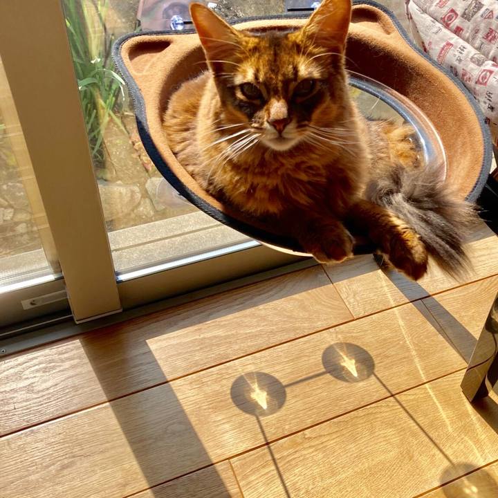 F43187bc 2e74 41fc 89a7 c0b20f63c3e5 1614134818559