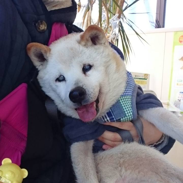 F4319c78 9316 41fa a9fe 129fc82b4fc1 1518953329243