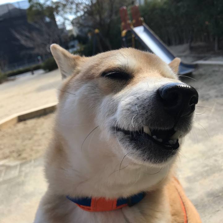 F431d9ce 3dd2 4513 bb51 a622a2141280 1518995685272