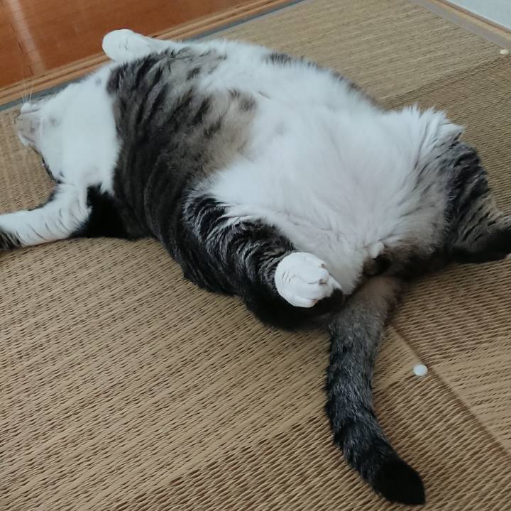 F4320277 54ab 40f2 a6e3 10f088cf50bc 1527505955876