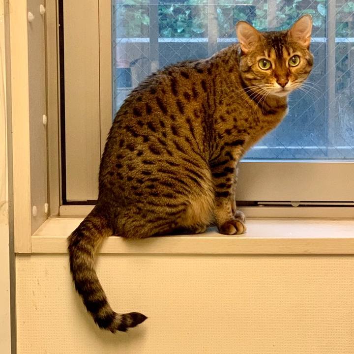 F4323cd2 d932 4a98 9d56 25ce149ea104 1558566613230