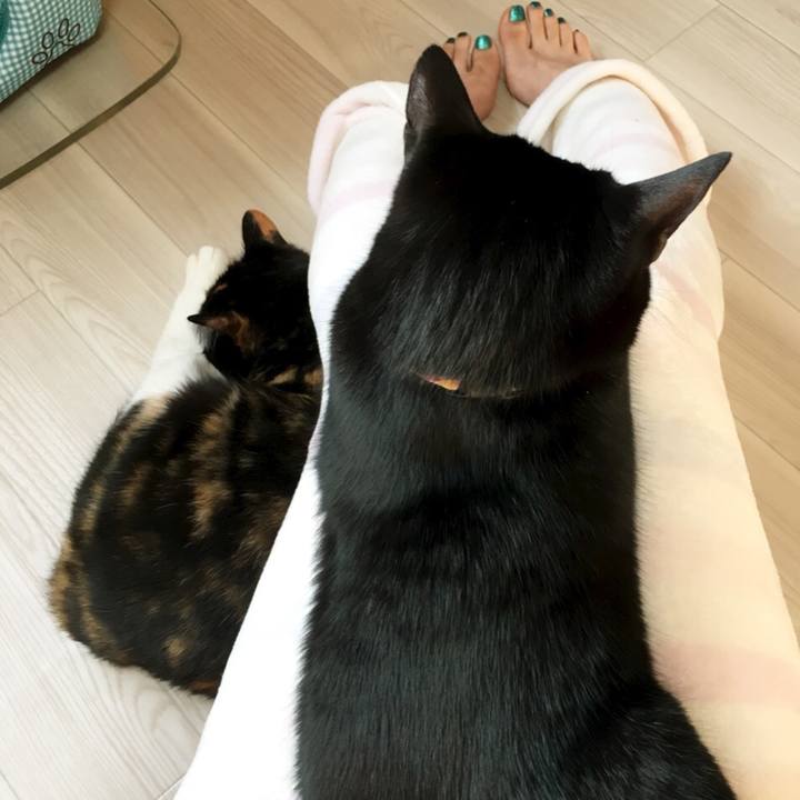 F432561e 9415 43ae a57a e096d40ac578 1515303245586