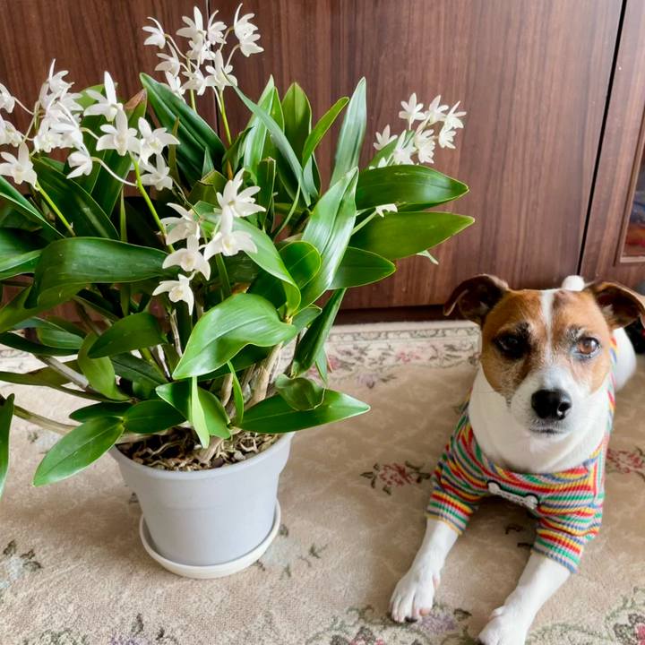 F43269bc 9d8e 40fc bf9e 23cb7a3160a1 1742861503845