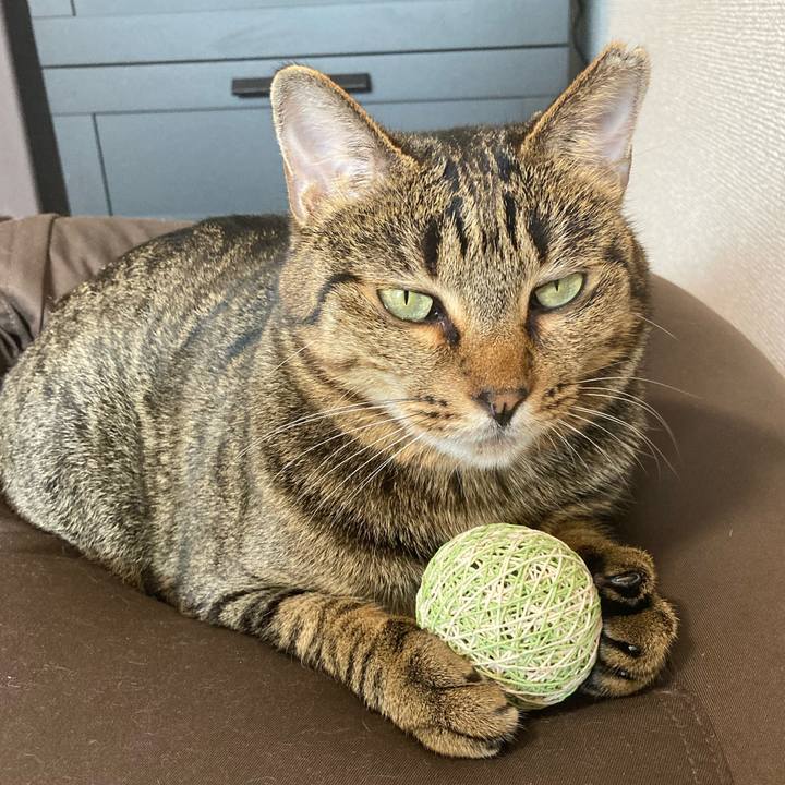 F432e9d9 9c8d 417f 9c96 3c7dec501037 1596946713632