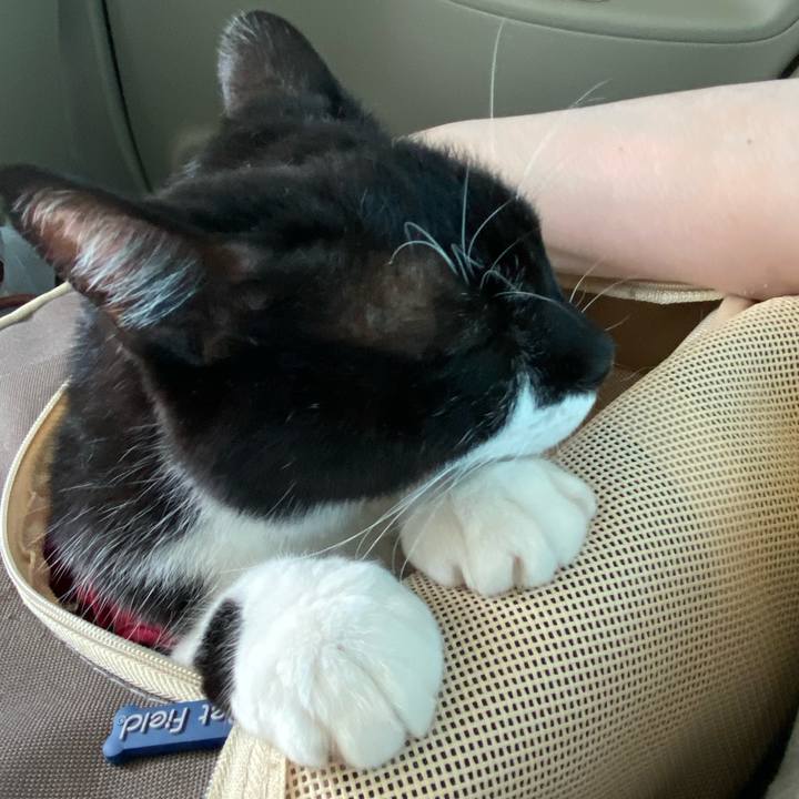 F432eeb5 1dad 4389 b70e 50498ac64a99 1725161314350