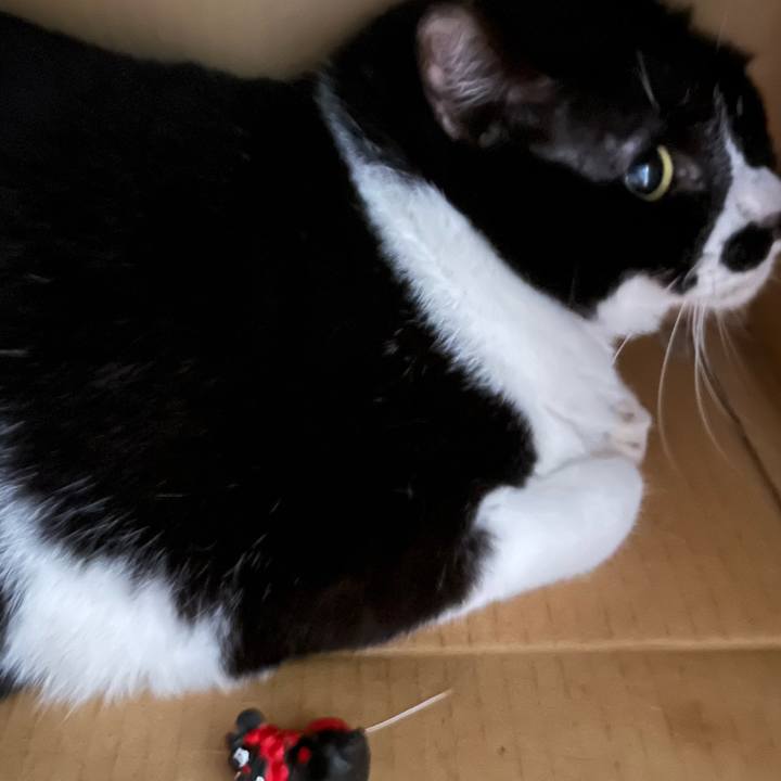 F432fe88 3916 43ef 9280 4e282445df84 1714176665062