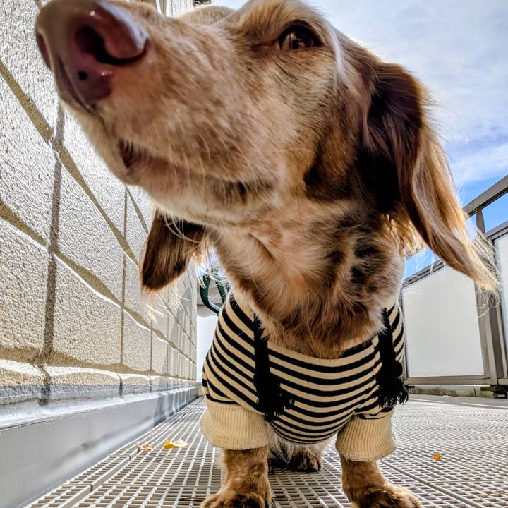 F4332632 6f39 4717 8ad9 659a3dfb5e1b 1763427748115