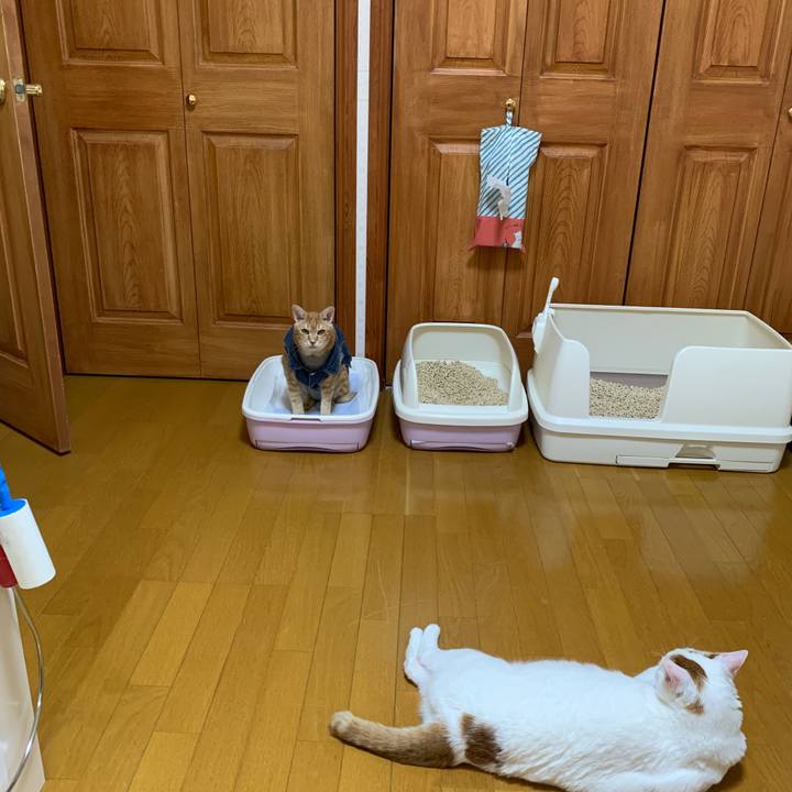 F43338c5 a9f0 4164 bffb b4f818ef5e22 1646133039565