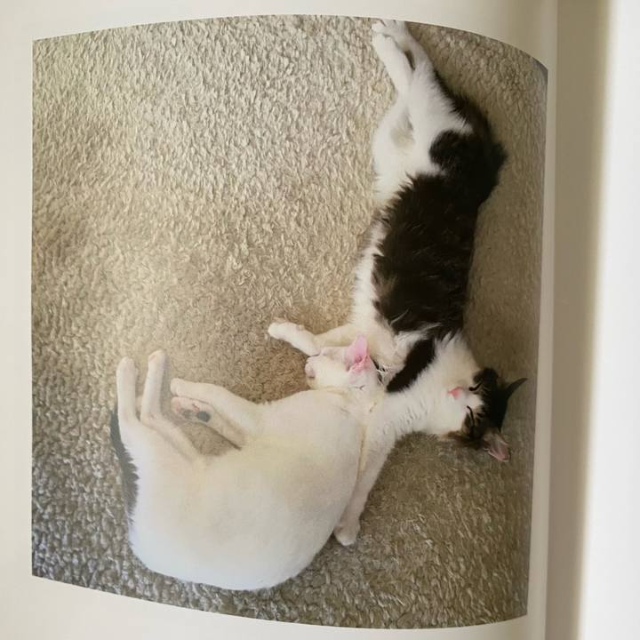 F4334715 c5d3 4263 afc8 6120aee9c33d 1664577429485