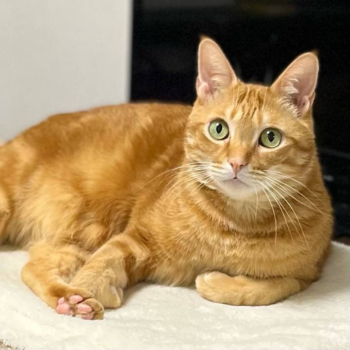 F4339b3a 8efc 48e9 bd6d 5af8fd80f7e8 1642978104246