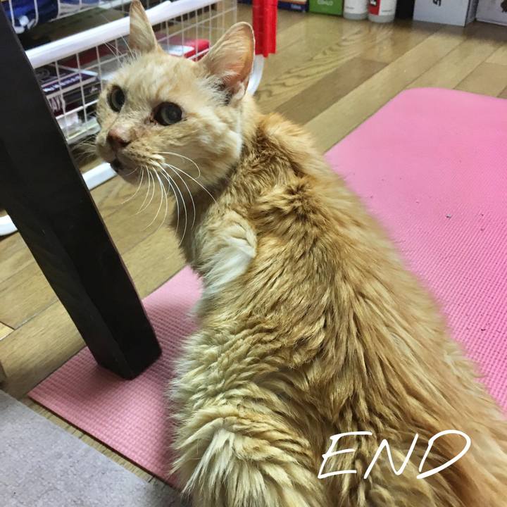 F433a75d 2d69 416a 9362 3ea759143d6c 1612006880289