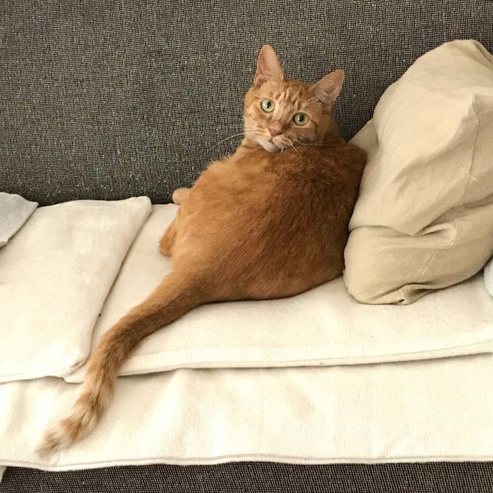 F433c897 2ae7 4868 b8ac 038225acc2fc 1570589036827