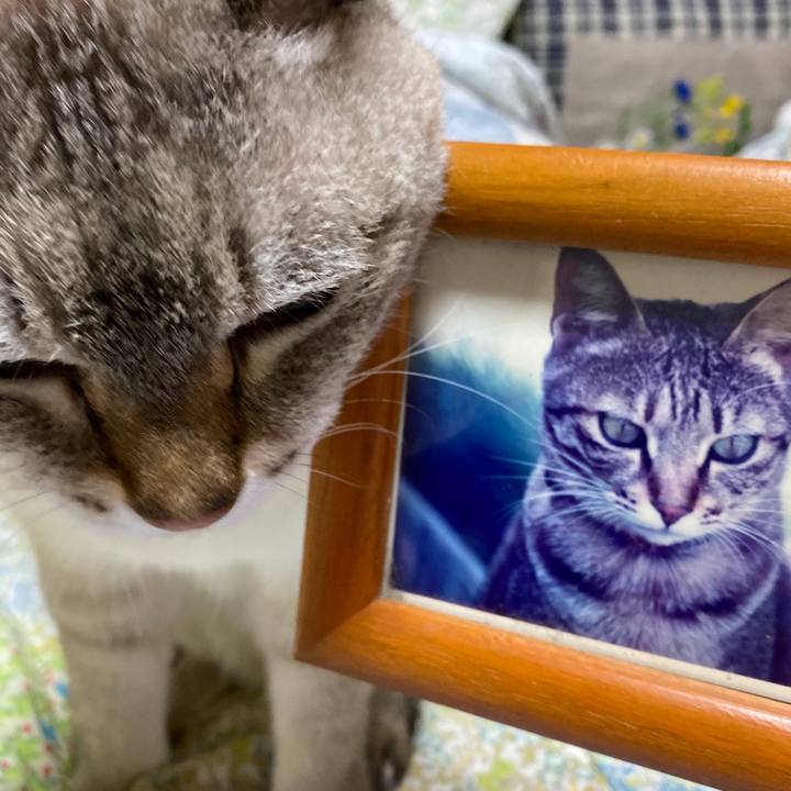 F433d346 7040 4990 bf7b a022fc840d8a 1590325434984