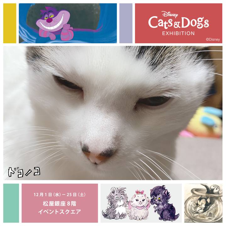 F433d908 fb0a 4a90 b00f f2a1414f4511 1638701371971