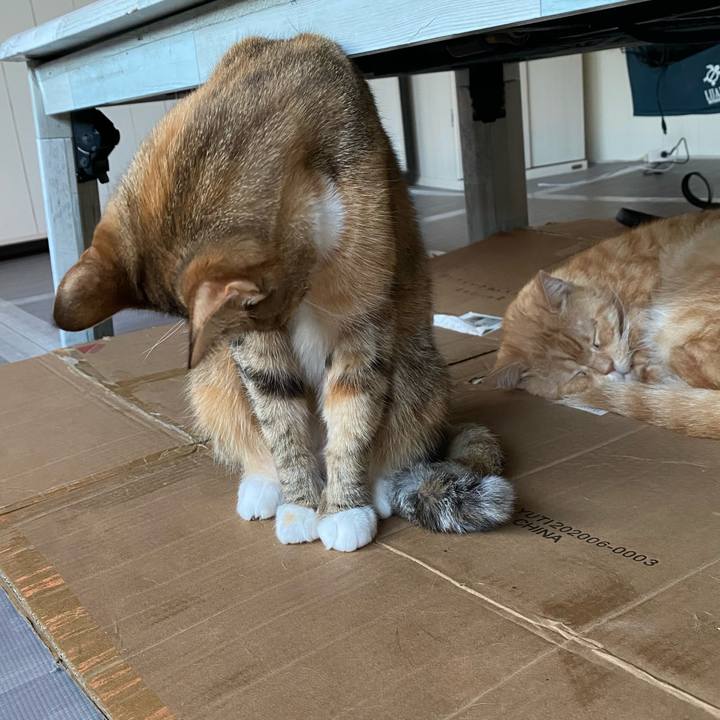 F43406e1 6191 4bf6 a18d 7c618891da90 1610954363896