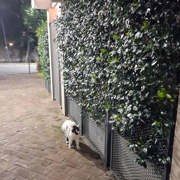 F43428d8 0a2b 4453 a20c c47d2d88ed02 1772124535934